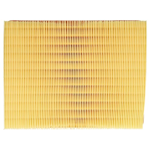 Filter Replacement for Kärcher 5.731-020.0 Filter for Vacuum Cleaner - Main Filter, Fold Filter