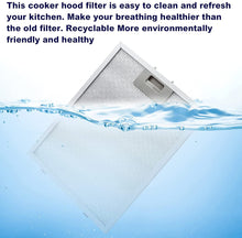 Load image into Gallery viewer, 81476048 Filter For Hood 320x235 mm Cooker Hood Oil Filter Extractor Aspirator Grease Filter Kitchen Hood 32.0x23.5 cm TEKA DB-6
