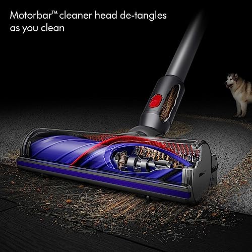 Dyson V8 Advanced Cordless Vacuum Cleaner - Silver/Nickel - Engineered for Pet Homes